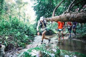 BIB: 
                            <button type="button" onclick="openModal(25441618)" class="btn btn-primary btn-sm float-right btn-popup" data-toggle="modal" data-target=".modal-high-quality">
                        <i class="fas fa-shopping-cart"></i> Add to Cart
                    </button>
                                            <button type="button" onclick="isThisMe(25441618, true)" class="btn btn-success btn-sm float-right btn-popup btn-isme hidden" data-toggle="tooltip" data-placement="bottom" title="นี่คือรูปของคุณใช่ไหม คลิกที่นี่เพื่อเอาเข้าอัลบั้ม">
                        <i class="fas fa-plus"></i> Add to album
                    </button>
                    <button type="button" onclick="isThisMe(25441618, false)" class="btn btn-warning btn-sm float-right btn-popup btn-isnotme hidden">
                        <i class="fas fa-ban"></i> Remove from album
                    </button>